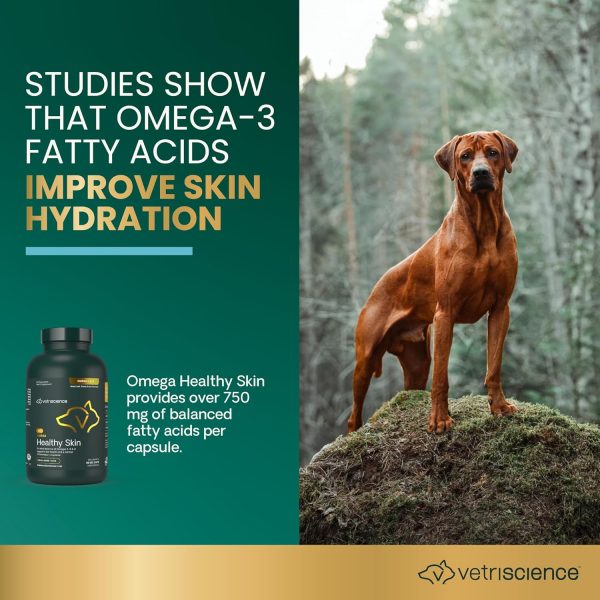 FoodScience Omega-3 Pet Supplement for Skin and Coat Health-2