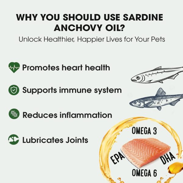 Iceland Pure Sardine Anchovy Oil for Dogs Cats Skin Coat-4
