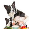 Dr Harveys Omega 3 Fish Oil for Dogs Wild Caught-3
